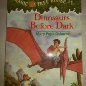 Magic tree house book 1